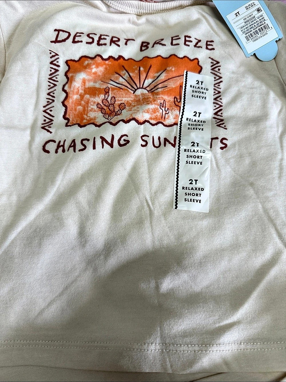 Cat & Jack Desert Breeze Chasing Sunsets Graphic Tee Boys 2T